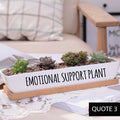 Message in a Planter - 7" Long